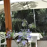 Le Del Gelso Osimo